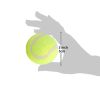 Outdoor Pet Tennis Ball for Small Dogs