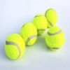 3pcs Pet dog toy tennis toy micro elastic ball dog throwing interactive dog ball training dog