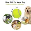 Outdoor Pet Tennis Ball for Small Dogs