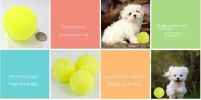 3pcs Pet dog toy tennis toy micro elastic ball dog throwing interactive dog ball training dog